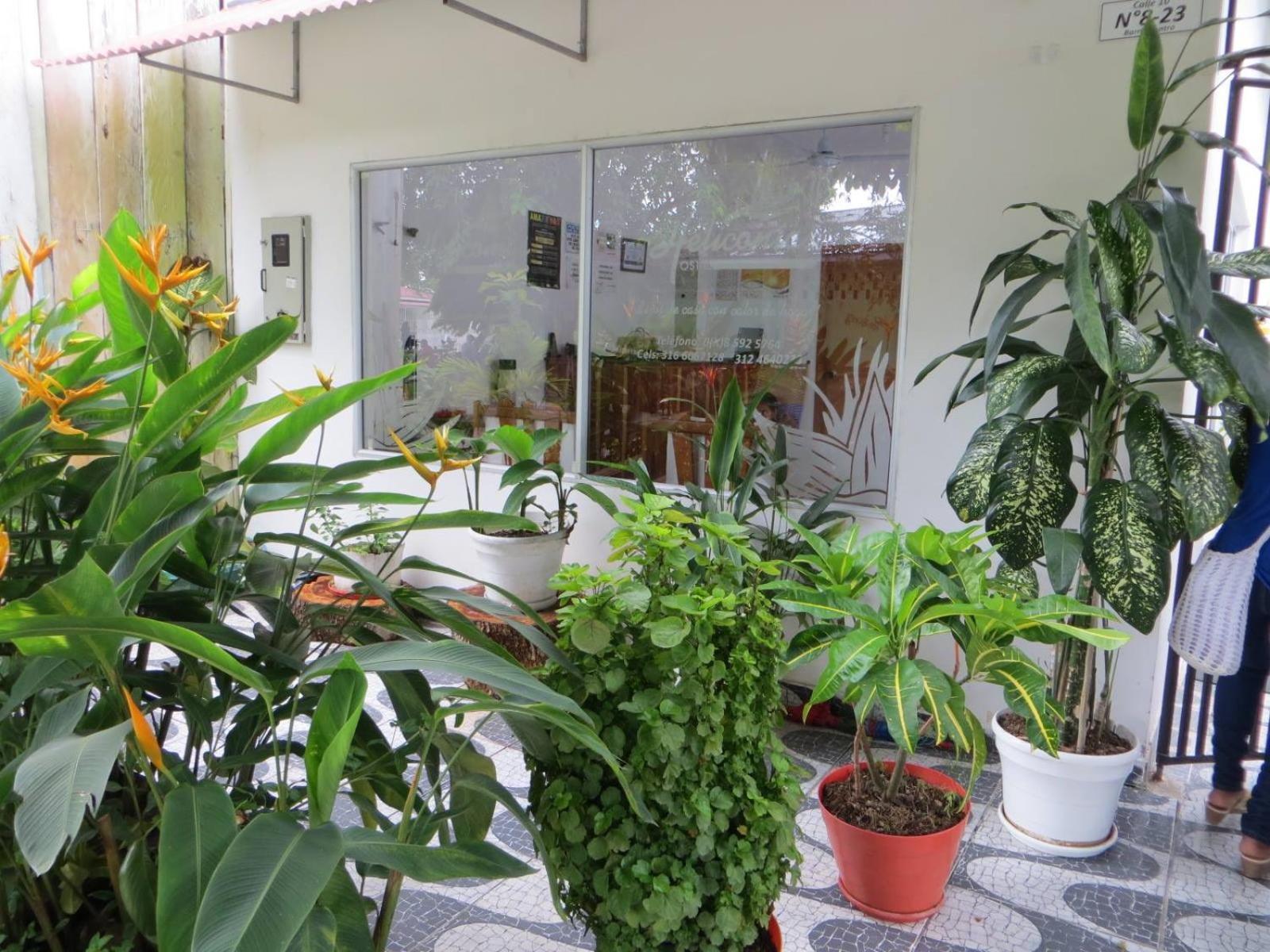 Hotel Heliconias Летисия Экстерьер фото